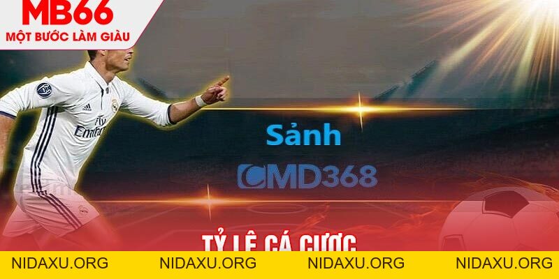 CMD368 - Sân Chơi Cá Độ Thể Thao Vui Nhộn Cùng MB66 - mb66club.com Link Nhà Cái Mb66.COM Chính Thức An Toàn