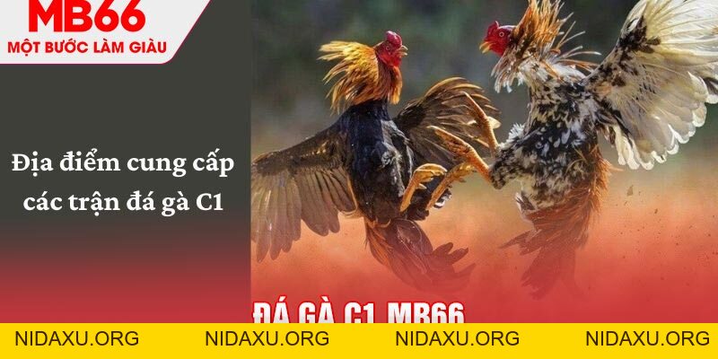 Đá Gà C1 - Sự Kiện Được Mong Chờ Nhất Trong Năm 2026 - mb66club.com Link Nhà Cái Mb66.COM Chính Thức An Toàn