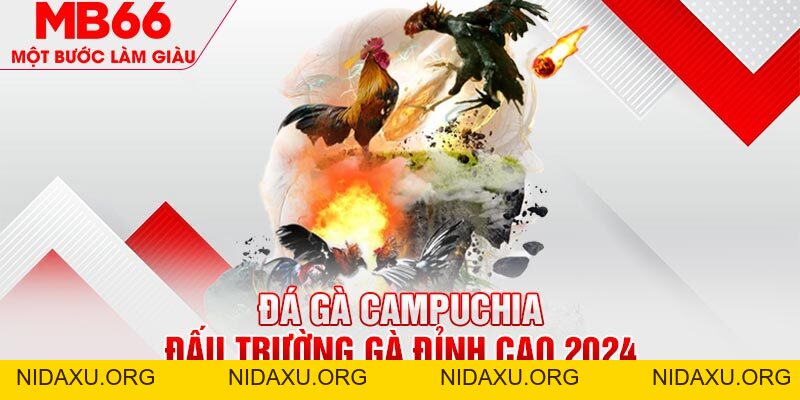 Đá Gà Campuchia MB66 - Hình Thức Giải Trí Thú Vị, Đặc Sắc - mb66club.com Link Nhà Cái Mb66.COM Chính Thức An Toàn