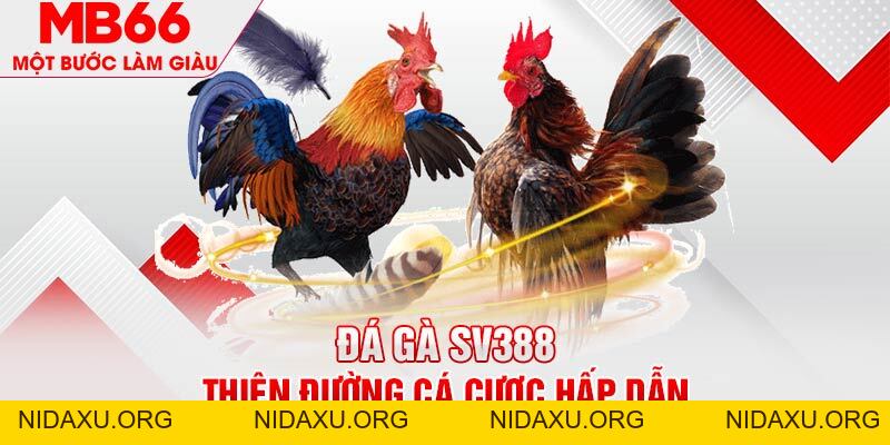 Đá Gà SV388 - Thiên Đường Cá Cược Online Chuẩn Quốc Tế - mb66club.com Link Nhà Cái Mb66.COM Chính Thức An Toàn