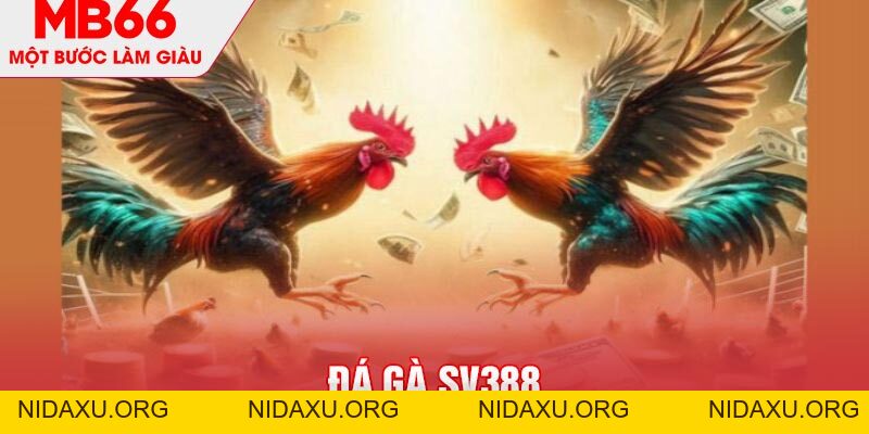 Đá Gà SV388 - Thiên Đường Cá Cược Online Chuẩn Quốc Tế - mb66club.com Link Nhà Cái Mb66.COM Chính Thức An Toàn
