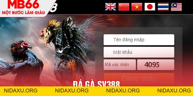 Đá Gà SV388 - Thiên Đường Cá Cược Online Chuẩn Quốc Tế - mb66club.com Link Nhà Cái Mb66.COM Chính Thức An Toàn