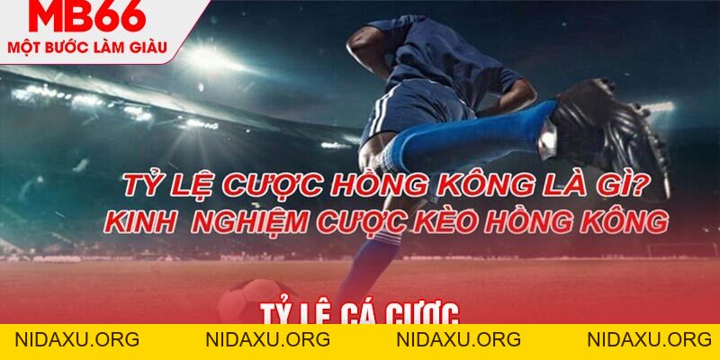 Tỷ Lệ Cá Cược MB66 - Những Thông Số Quan Trọng Cần Lưu Ý - mb66club.com Link Nhà Cái Mb66.COM Chính Thức An Toàn