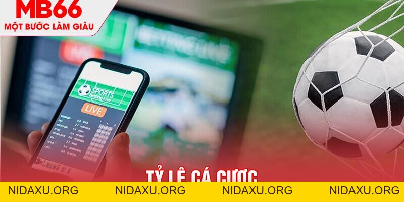 Tỷ Lệ Cá Cược MB66 - Những Thông Số Quan Trọng Cần Lưu Ý - mb66club.com Link Nhà Cái Mb66.COM Chính Thức An Toàn