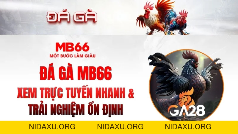 Đá Gà MB66 – Xem Trực Tuyến Nhanh, Ổn Định 2026
