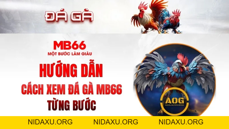 Đá Gà MB66 – Xem Trực Tuyến Nhanh, Ổn Định 2026